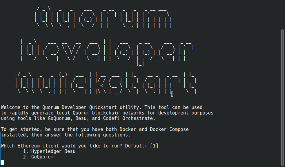 Quorum Dev Quickstart terminal demo